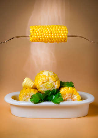 vertical arrangement of hot steamy succulent corn on the cob with mealted butter on a plain...