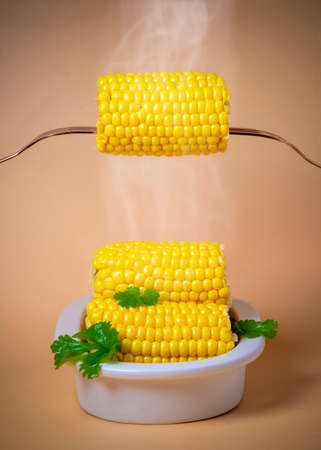 vertical hot steamy succulent corn on the cob on a plain background with block colourの写真素材
