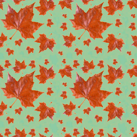 shades of red and brown  seamless pattern with large autumn leaves in bright vibrant colours  ideal for stationery and fabrics ,  on a pretty  teal backgroundの写真素材