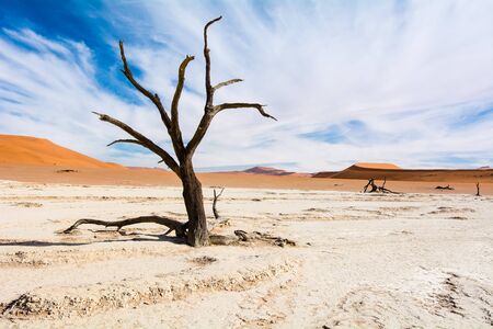 Famous Sossusvlei or better Deadvlei scenery in Namibia. The clouds make this image more dramatic.の写真素材