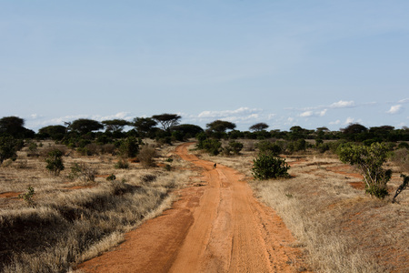 A red road in Tsavo East Kenya leads to the African jungle.