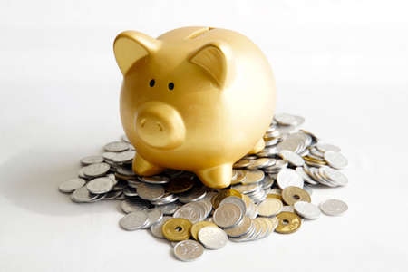 Piggy bank pig ride on purses
