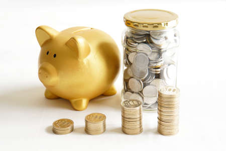 Pig piggy bank with coins