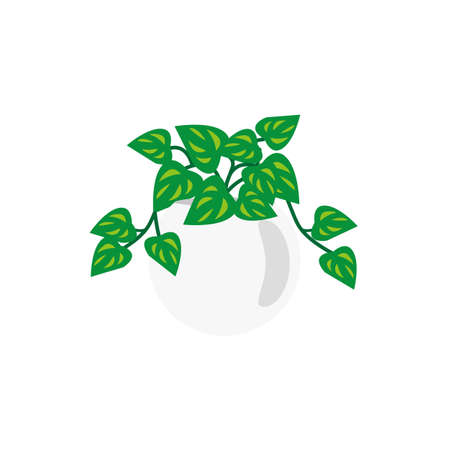 Illustration of a Potos.  Potos is a plant for indoor appreciation.のイラスト素材