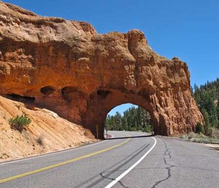 Tunnel in the desert for tourism to drive throughの写真素材