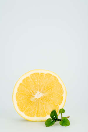 sliced grapefruit with fresh balm, isolated on whiteの写真素材