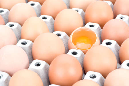 Brown eggs, isolatedの写真素材