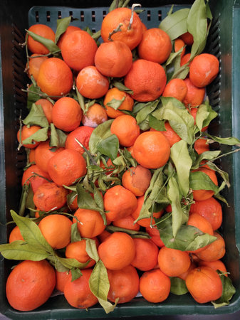 Tangerines in box. Fresh mandarin oranges fruit, top viewの写真素材