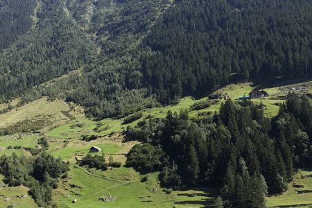 beautiful green mountain in switzerland with grass and blue sky on summer end periodの写真素材