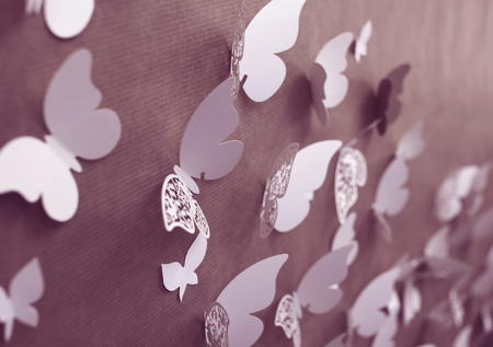 beautiful pieces of handmade butterfly with effect colors on paper background - concept design of paper use state of the art.の写真素材