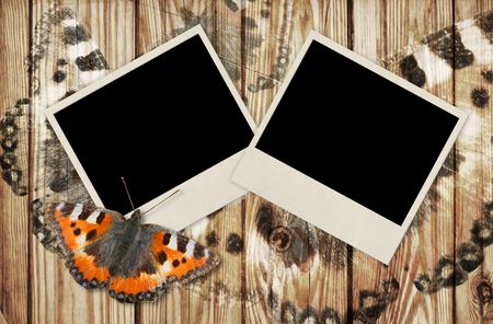 Grunge retro background with butterflysの写真素材
