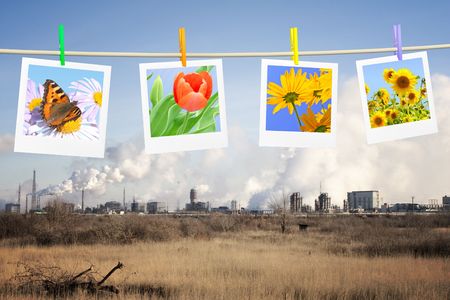 Ecology concept - death and lifeの写真素材