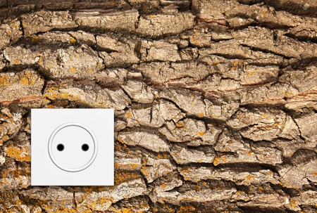 Go green - electric socket in oak bark