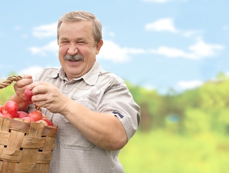 Elderly man, harvesting a appleの写真素材