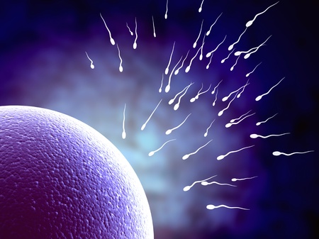 Spermatozoons, floating to ovule - 3d render