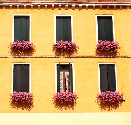 Six windows with geranium