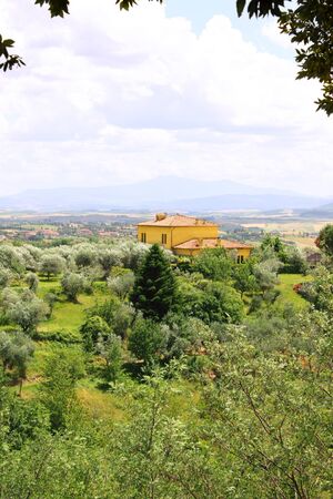 Typical Italian landscape with olive treesの写真素材