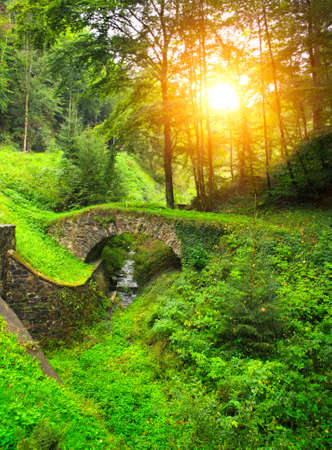 Ancient bridge in summer forestの写真素材