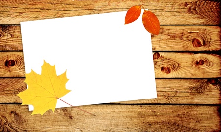 Grunge background from bright autumn leaves and paper