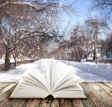 Book of nature on winter backgroundの写真素材