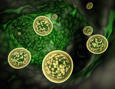 Colony of pathogen viruses - 3d render