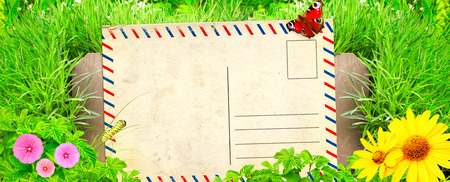 Summer background with old post card, wooden fence and green grassの写真素材