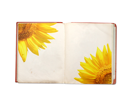 Old book. Objects isolated on white backgroundの写真素材