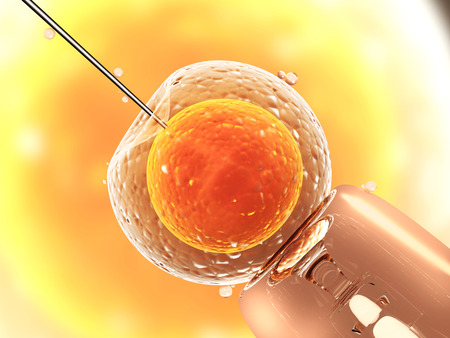 Cell injection - artificial inseminationの写真素材