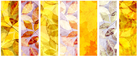 Collection of grunge banners with autumn leaves and paper texture