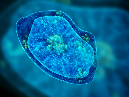 Amoeba on blue background. 3d renderの写真素材