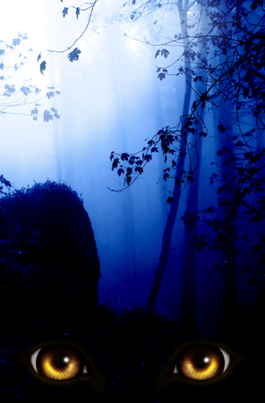 Dark series - a look from darkness. Yellow monster eyes in the dark foggy forestの写真素材
