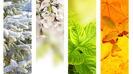 Four seasons of year. Vertical nature banners with winter, spring, summer and autumn scenes