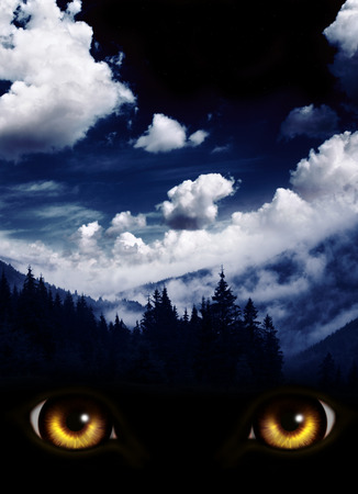 Dark series - a look from darkness. Yellow monster eyes and mysterious landscape of foggy mountain and night skyの写真素材