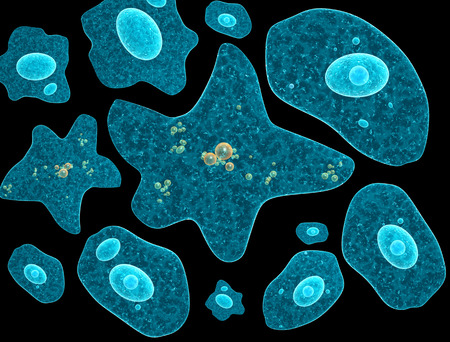 Amoebas isolated on black background. 3d renderの写真素材