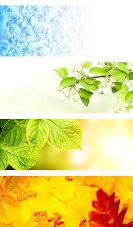Four seasons of year. Collection of horizontal nature banners with winter, spring, summer and autumn scenesの写真素材