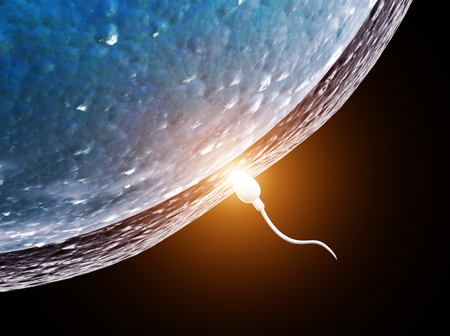 Spermatozoon, floating to ovule. The moment of fertilization of an egg with a sperm. Isolated on black background. 3d renderの写真素材