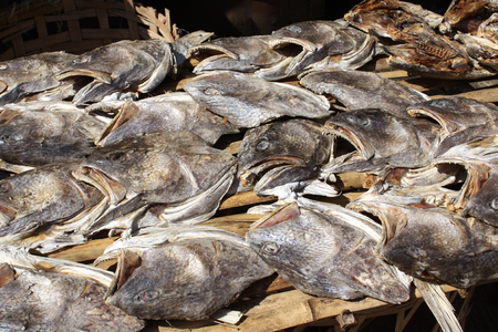 Dried fish heads on the morning market in Yangon, Myanmarの写真素材