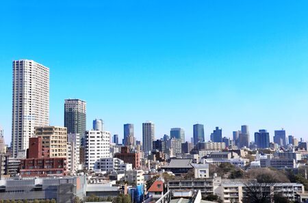 Aerial view of Tokyo - capital city of Japan, Asia