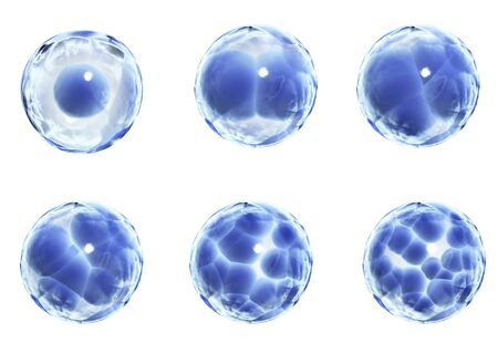 Mitosis process. Division of cell. Isolated on white background. 3d renderの写真素材