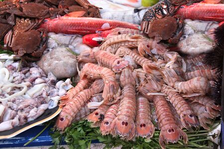 Freshly caught shrimps, crab and fish in ice, fish market in Essaouira, Morocco, North Africaの写真素材