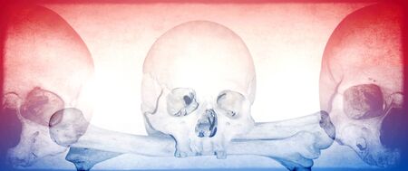 Horizontal background with human skulls. Halloween banner with old paper texture. Copy space for text. Mock up templateの写真素材