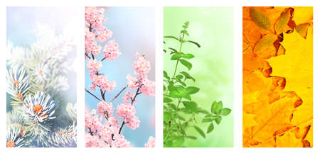 Four seasons of year. Set of vertical nature banners with winter, spring, summer and autumn scenes....