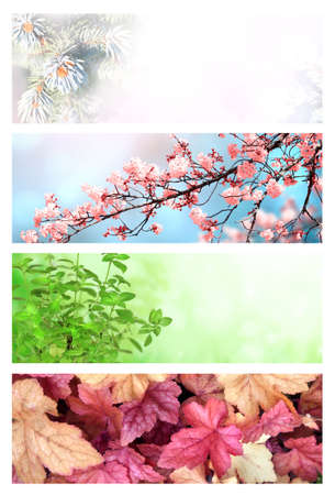 Four seasons of year. Set of horizontal nature banners with winter, spring, summer and autumn...