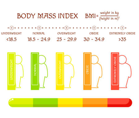 BMI concept. Body shapes from underweight to extremely obese. Weight loss. Silhouettes with different obesity degrees. Human icons show process of losing weight. Slimming stages.のイラスト素材