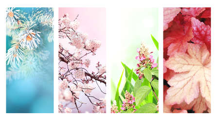 Four seasons of year. Set of vertical nature banners with winter, spring, summer and autumn scenes. Copy space for textの写真素材