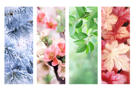 Four seasons of year. Set of vertical nature banners with winter, spring, summer and autumn scenes. Copy space for textの写真素材