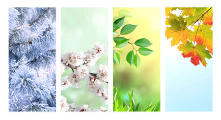 Four seasons of year. Set of vertical nature banners with winter, spring, summer and autumn scenes. Copy space for textの写真素材