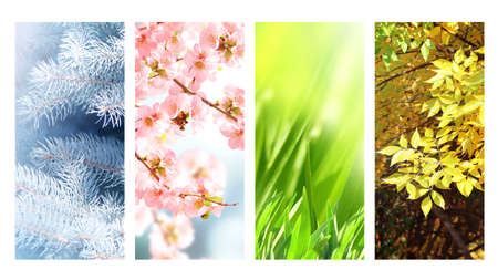 Four seasons of year. Set of vertical nature banners with winter, spring, summer and autumn scenes. Copy space for textの写真素材