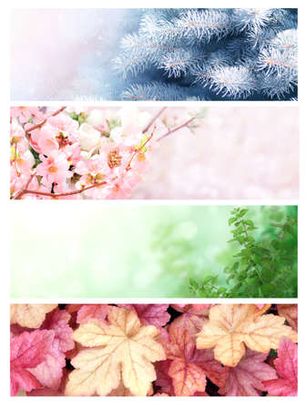 Four seasons of year. Set of horizontal nature banners with winter, spring, summer and autumn scenes. Seasonal collage. Copy space for textの写真素材