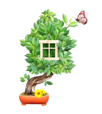 Eco friendly home concept. Butterfly and eco house made up of green leaves. Eco-friendly business. Ecology and zero waste. Isolated on white backgroundの写真素材
